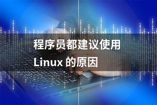 程序员都建议使用 Linux 的原因