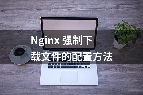 Nginx 强制下载文件的配置方法