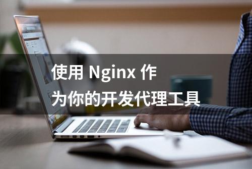 使用 Nginx 作为你的开发代理工具