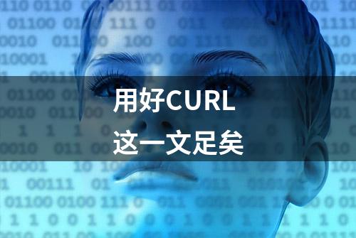 用好CURL这一文足矣