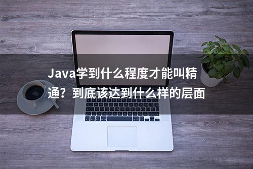 Java学到什么程度才能叫精通？到底该达到什么样的层面