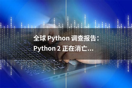 全球 Python 调查报告：Python 2 正在消亡，PyCharm 比 VS Code 更受欢迎