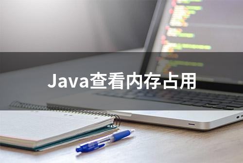 Java查看内存占用