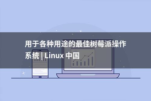 用于各种用途的最佳树莓派操作系统 | Linux 中国