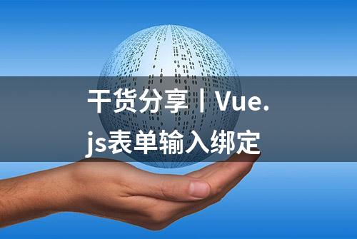 干货分享丨Vue.js表单输入绑定