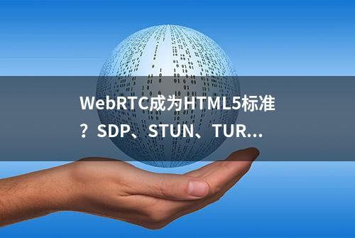 WebRTC成为HTML5标准？SDP、STUN、TURN你想知道的都在这里！