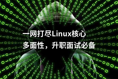 一网打尽Linux核心多面性，升职面试必备