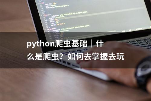 python爬虫基础｜什么是爬虫？如何去掌握去玩