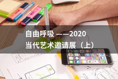 自由呼吸 ——2020当代艺术邀请展（上）