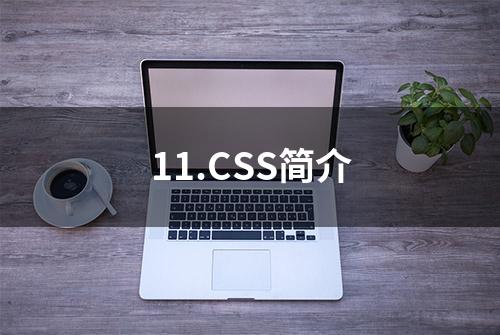 11.CSS简介