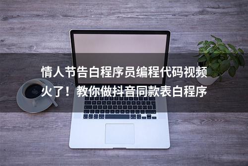 情人节告白程序员编程代码视频火了！教你做抖音同款表白程序