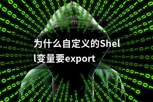 为什么自定义的Shell变量要export