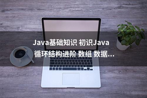 Java基础知识 初识Java 循环结构进阶 数组 数据类型 各种运算符