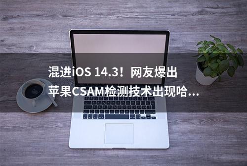 混进iOS 14.3！网友爆出苹果CSAM检测技术出现哈希冲突