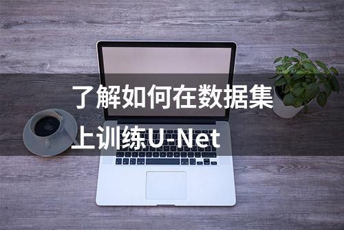 了解如何在数据集上训练U-Net