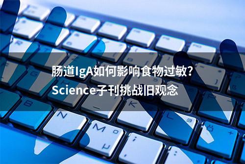 肠道IgA如何影响食物过敏？Science子刊挑战旧观念