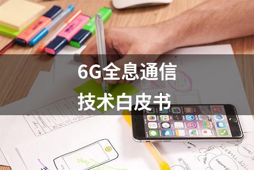 6G全息通信技术白皮书