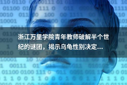 浙江万里学院青年教师破解半个世纪的谜团，揭示乌龟性别决定机理