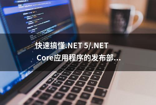 快速搞懂.NET 5/.NET Core应用程序的发布部署