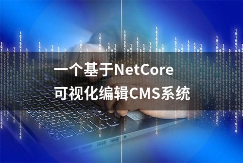 一个基于NetCore可视化编辑CMS系统