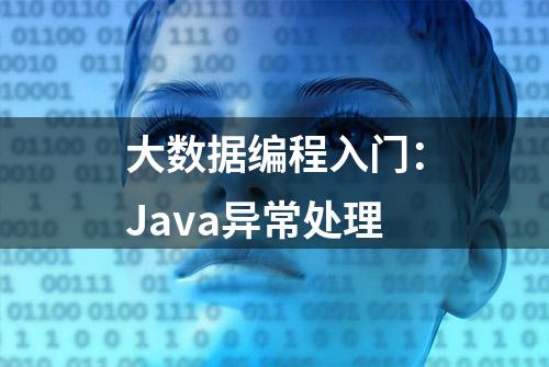 大数据编程入门：Java异常处理