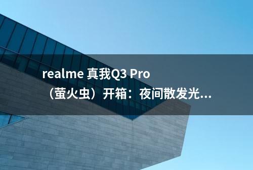 realme 真我Q3 Pro（萤火虫）开箱：夜间散发光芒的“Dare To Leap”