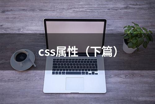 css属性（下篇）