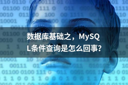 数据库基础之，MySQL条件查询是怎么回事？