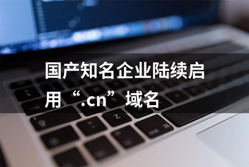 国产知名企业陆续启用“.cn”域名