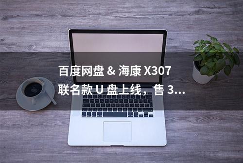 百度网盘 & 海康 X307 联名款 U 盘上线，售 30.9 元起