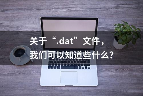 关于“.dat”文件，我们可以知道些什么？