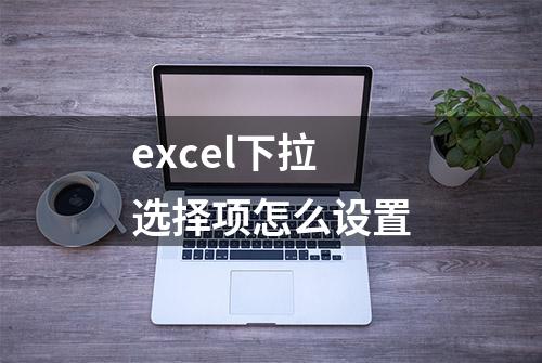 excel下拉选择项怎么设置