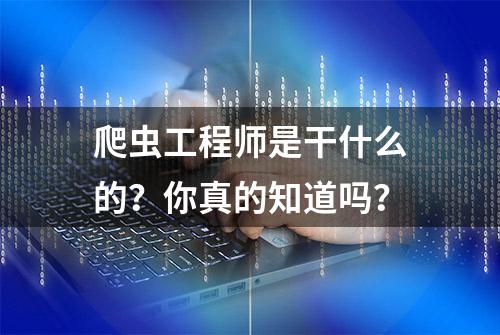 爬虫工程师是干什么的？你真的知道吗？