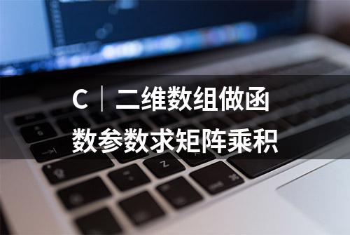 C｜二维数组做函数参数求矩阵乘积