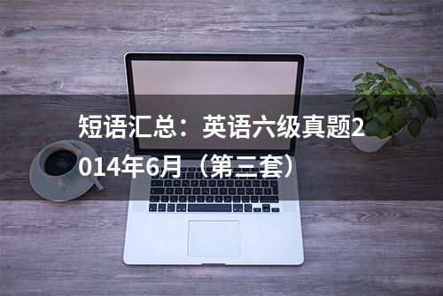 短语汇总：英语六级真题2014年6月（第三套）