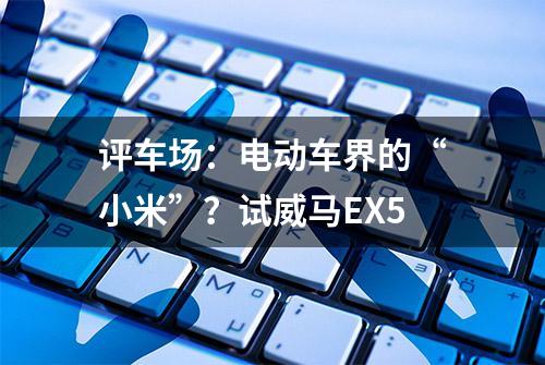 评车场：电动车界的“小米”？试威马EX5