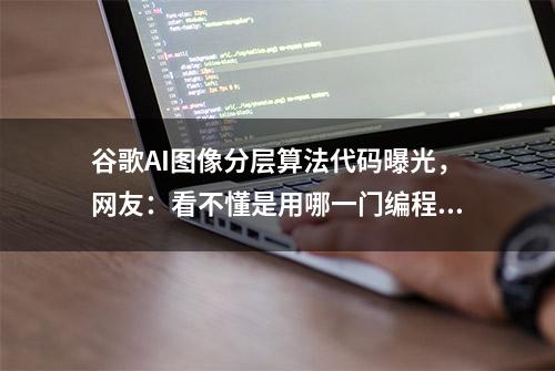 谷歌AI图像分层算法代码曝光，网友：看不懂是用哪一门编程语言?