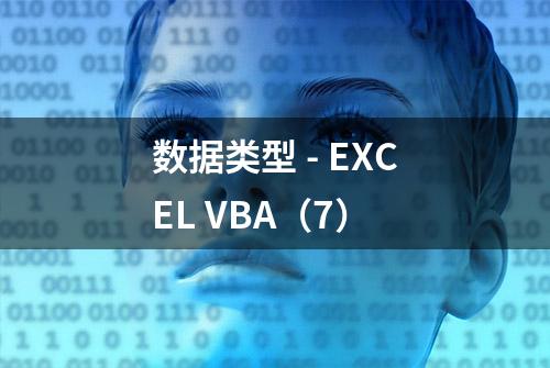 数据类型 - EXCEL VBA（7）