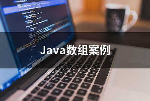 Java数组案例