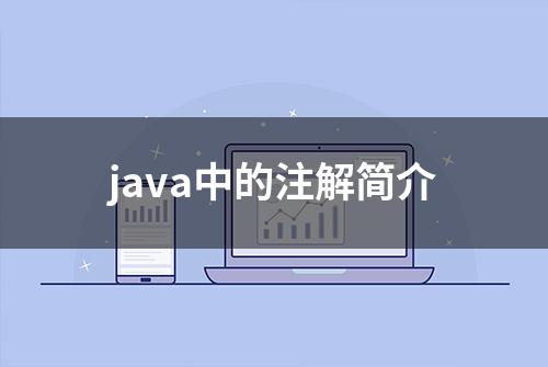 java中的注解简介