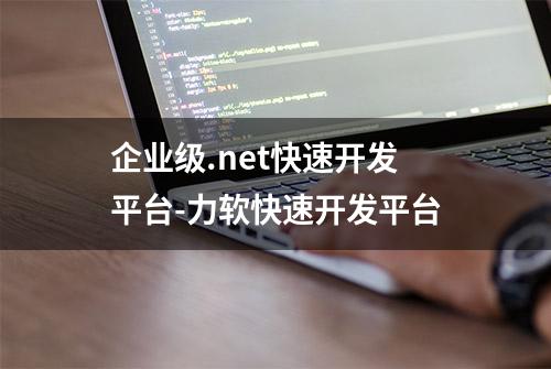 企业级.net快速开发平台-力软快速开发平台