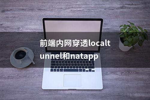 前端内网穿透localtunnel和natapp