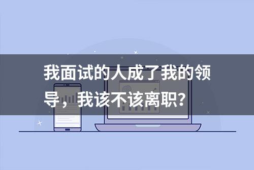 我面试的人成了我的领导，我该不该离职？