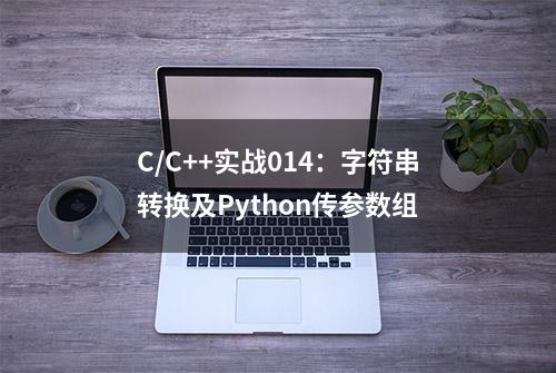 C/C++实战014：字符串转换及Python传参数组