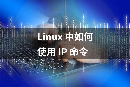 Linux 中如何使用 IP 命令