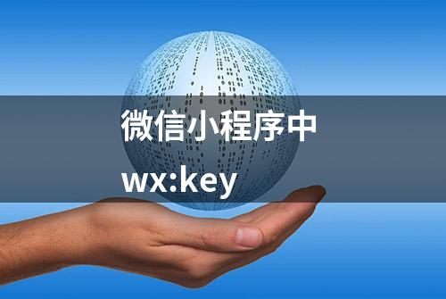 微信小程序中 wx:key