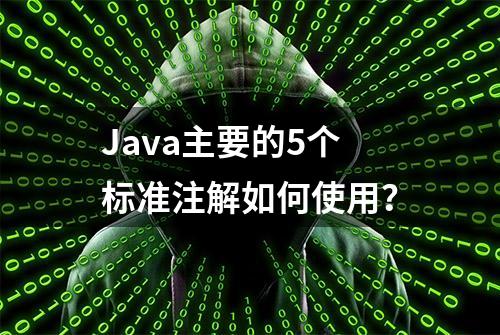 Java主要的5个标准注解如何使用？