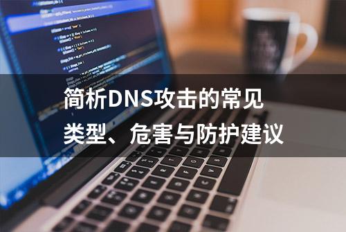 简析DNS攻击的常见类型、危害与防护建议