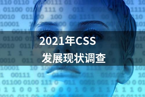 2021年CSS 发展现状调查