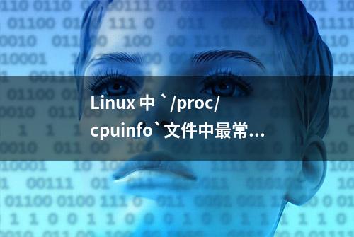 Linux 中 `/proc/cpuinfo`文件中最常见的标志